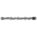 Edelbrock Hydraulic Roller Camshaft for 1987 And Later Gen-I Small-Block Chevy thumbnail 2