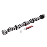 Edelbrock BBC Hydraulic Roller Cam thumbnail 7