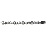 Edelbrock SBC LT1 Roller Cam thumbnail 2