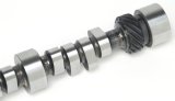 Edelbrock SBC LT1 Roller Cam thumbnail 6