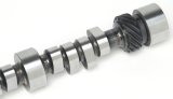 Edelbrock SBC LT1 Roller Cam thumbnail 7