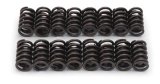 Edelbrock Valve Springs E-Street Heads Set of 16 thumbnail 2