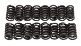 Edelbrock Valve Springs E-Street Heads Set of 16 thumbnail 4