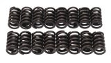 Edelbrock Valve Springs E-Street Heads Set of 16 thumbnail 5
