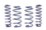 H&R 18-22 Volkswagen Tiguan/Tiguan 4MOTION (2WD/4WD) MQB Adventure Raising Spring thumbnail 1