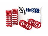 H&R 94-95 Ford Mustang/Mustang Cobra V8 Race Spring thumbnail 1