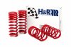 H&R 94-95 Ford Mustang/Mustang Cobra V8 Race Spring thumbnail 7