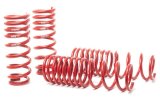 H&R 04-08 Acura TL 6 Cyl Race Spring thumbnail 1