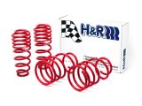 H&R 05-09 Ford Mustang/Convertible/GT/Shelby GT/Shelby GT-H V6/V8 Race Spring thumbnail 5