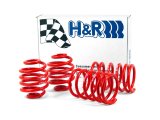 H&R 85-91 BMW 325e/325i/325is E30 Race Spring (Non Cabrio/Tuner Fitment) thumbnail 8