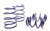 H&R 95-98 BMW 318ti E36 Compact Race Spring thumbnail 2