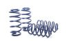 H&R 98-04 Audi A6 Quattro (AWD) 4B Race Spring thumbnail 6
