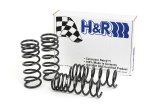 H&R 99-05 Mazda Miata MX5 NB Race Spring thumbnail 3