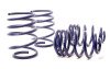 H&R 01-05 BMW 325Xi/330Xi E46 Sport Spring thumbnail 6