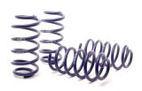 H&R 01-05 Volkswagen Passat 4Motion Sedan/Wagon Sport Spring (Non W8) thumbnail 2
