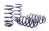H&R 01-05 Volkswagen Passat 4Motion Sedan/Wagon Sport Spring (Non W8) thumbnail 3