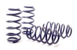 H&R 01-05 Volkswagen Passat 4Motion Sedan/Wagon Sport Spring (Non W8) thumbnail 7