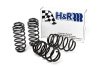 H&R 05-10 Volkswagen Jetta/Jetta SportWagen 2.5L/1.9L TDI/2.0T MK5 Sport Spring thumbnail 8