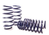 H&R 11-14 Dodge Challenger RT/SRT8 V8 Sport Spring (w/o Nivomat) thumbnail 1