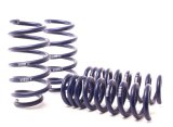 H&R 11-14 Dodge Challenger RT/SRT8 V8 Sport Spring (w/o Nivomat) thumbnail 2