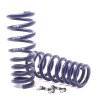 H&R 07-13 BMW X5 E70 Sport Spring (w/Self-Leveling/Incl. Diesel) thumbnail 6