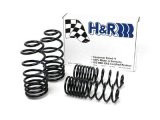 H&R 93-94 Volkswagen Passat Sedan VR6 Sport Spring thumbnail 1