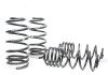 H&R 98-10 Volkswagen Beetle TDI Sport Spring thumbnail 6