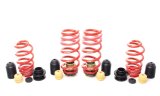 H&R 20-23 Audi RS6 Avant VTF Adjustable Lowering Springs thumbnail 4