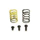 Industrial Injection 94-98 Dodge 12V AFC Spring Kit thumbnail 1