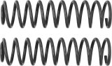 Rancho 97-05 Jeep TJ Front Coil Spring Kit thumbnail 1