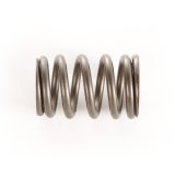Omix Valve Spring- 87-97 YJ/XJ/MJ/ZJ/SJ thumbnail 2