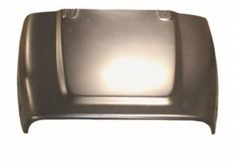 Omix Hood- 98-00 Jeep Wrangler TJ thumbnail 1