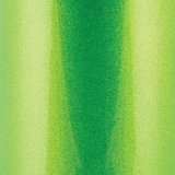 Wehrli 20-24 Duramax L5P Auxiliary Coolant Tank Kit - Sparkle Granny Smith thumbnail 2