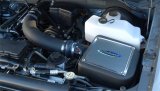 Volant 09-10 Ford F-150 Raptor 5.4 V8 PowerCore Closed Box Air Intake System thumbnail 6