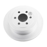 Power Stop 03-04 Dodge Dakota Rear Evolution Geomet Coated Rotor thumbnail 2