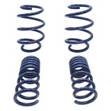 Ford Racing 2015-2017 Mustang GT350 Lowering Springs thumbnail 2