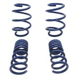 Ford Racing 2015-2017 Mustang GT350 Lowering Springs thumbnail 3