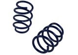 Ford Racing 2015-2017 Mustang GT350 Lowering Springs thumbnail 4