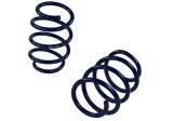 Ford Racing 2015-2017 Mustang GT350 Lowering Springs thumbnail 7