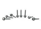 Ford Racing Coyote 5.0L V8 (Fits 2011- 2/23/16 Mustang GT/F-150 4V Ti-VCT) Ignition Coil Set thumbnail 4