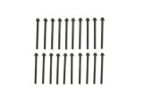 Ford Racing 5.0L/5.2L Coyote 12MM Long Head Bolt Kit thumbnail 3