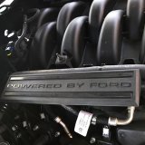 Ford Racing 18-19 Coyote 5.0L TiVCT Intake Manifold Dress Up Kit thumbnail 2