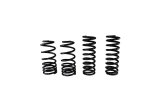 Ford Racing 1979-2004 Mustang Front/Rear Spring Kits thumbnail 9