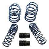 Ford Racing 2007-2014 Mustang Shelby GT500 Springs thumbnail 1