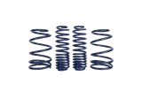 Ford Racing 2007-2014 Mustang Shelby GT500 Springs thumbnail 2