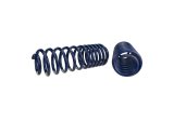 Ford Racing 2007-2014 Mustang Shelby GT500 Springs thumbnail 4
