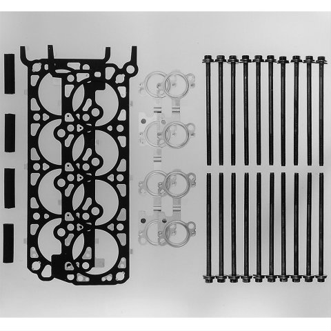 Ford Racing 4.6L 4V Head Changing Kit