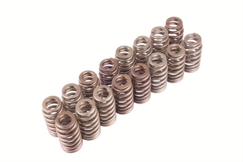 Ford Racing BOSS 302R Valve Spring Kit thumbnail 1