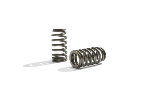Ford Racing BOSS 302R Valve Spring Kit thumbnail 4