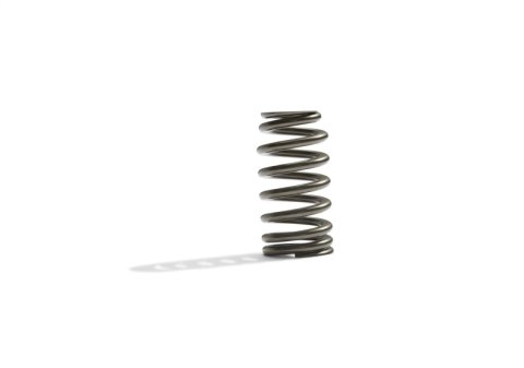 Ford Racing BOSS 302R Valve Spring Kit thumbnail 5